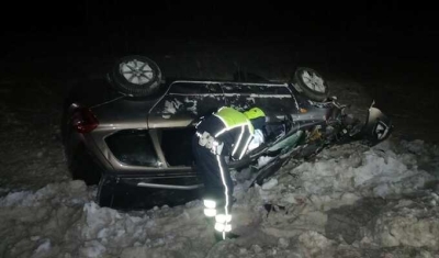 В Свердловской области водитель с 17-летним спортсменом в машине сбил лося